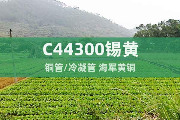 C44300錫黃銅管/冷凝管 海軍黃銅
