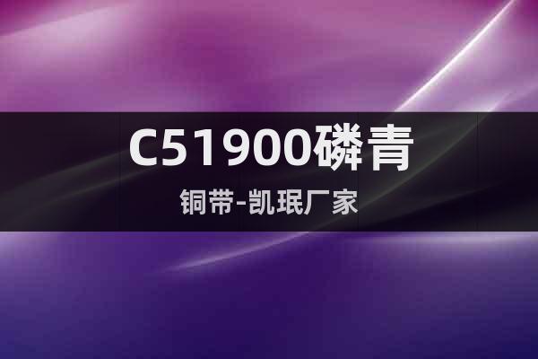C51900磷青銅帶-凱珉廠家
