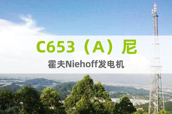 C653（A）尼霍夫Niehoff發電機