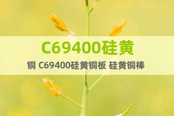 C69400硅黃銅 C69400硅黃銅板 硅黃銅棒 現(xiàn)貨庫存