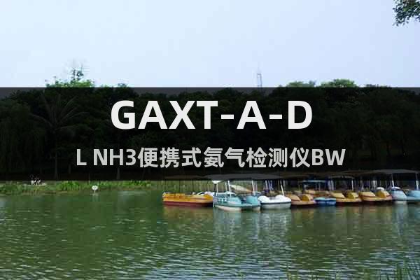 GAXT-A-DL NH3便携式氨气检测仪BW