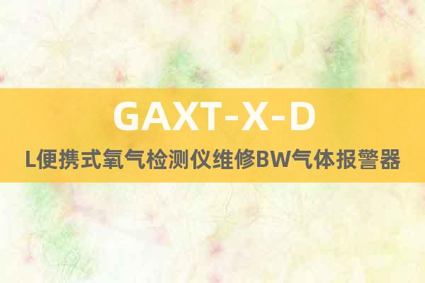 GAXT-X-DL便携式氧气检测仪维修BW气体报警器售后服务