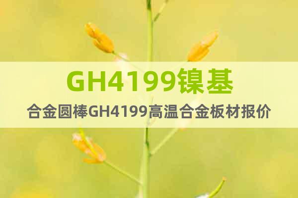 GH4199鎳基合金圓棒GH4199高溫合金板材報(bào)價(jià)