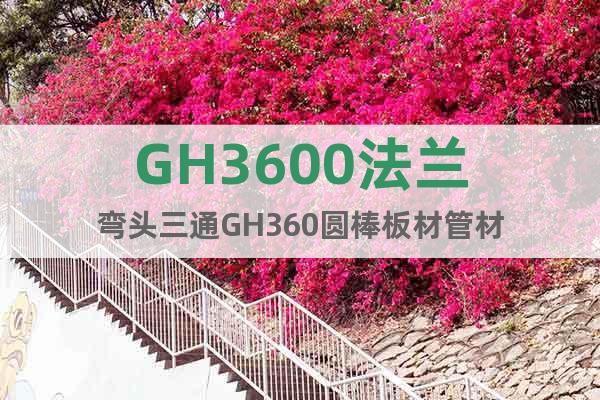 GH3600法兰弯头三通GH360圆棒板材管材