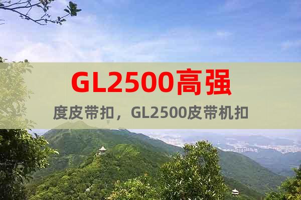 GL2500高强度皮带扣，GL2500皮带机扣