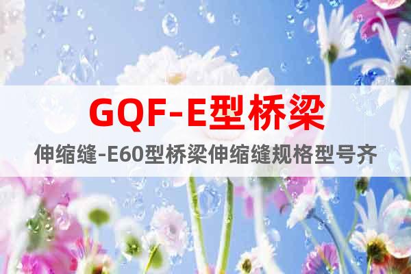 GQF-E型橋梁伸縮縫-E60型橋梁伸縮縫規(guī)格型號(hào)齊全