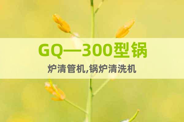 GQ—300型鍋爐清管機(jī),鍋爐清洗機(jī)