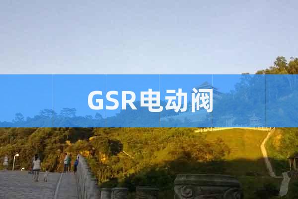 GSR電動閥