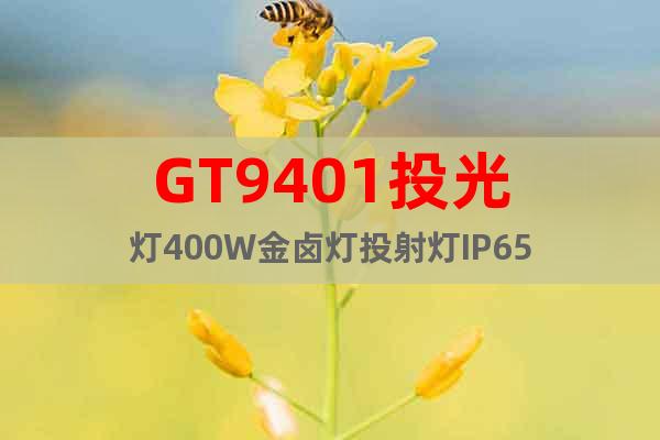 GT9401投光燈400W金鹵燈投射燈IP65