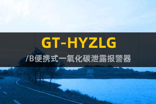 GT-HYZLG/B便携式一氧化碳泄露报警器