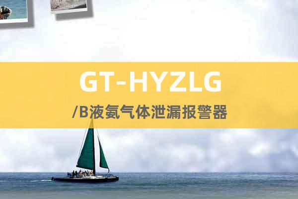 GT-HYZLG/B液氨气体泄漏报警器