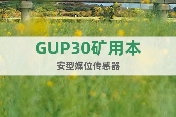 GUP30矿用本安型媒位传感器