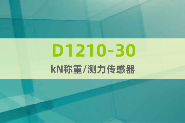 D1210-30kN称重/测力传感器