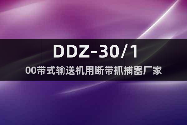 DDZ-30/100帶式輸送機(jī)用斷帶抓捕器廠家