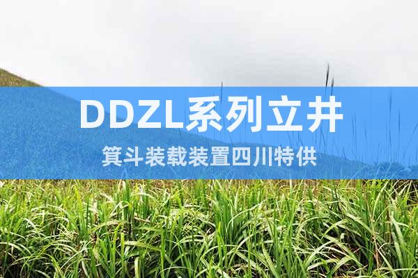 DDZL系列立井箕斗装载装置四川特供