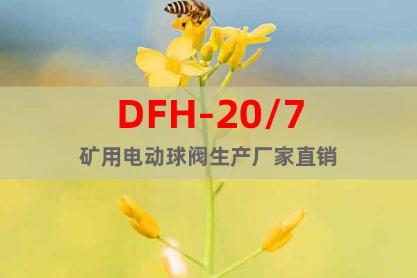 DFH-20/7矿用电动球阀生产厂家直销
