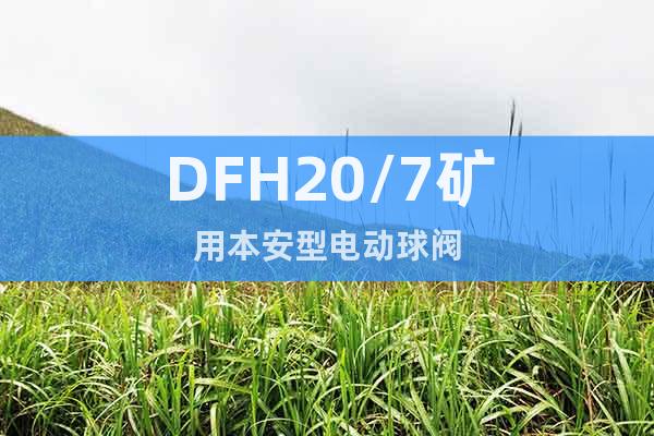 DFH20/7矿用本安型电动球阀