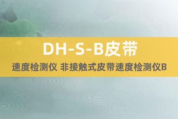 DH-S-B皮带速度检测仪 非接触式皮带速度检测仪B800