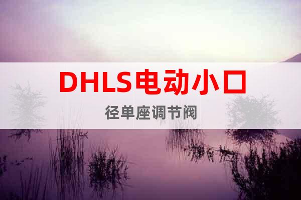 DHLS電動小口徑單座調(diào)節(jié)閥