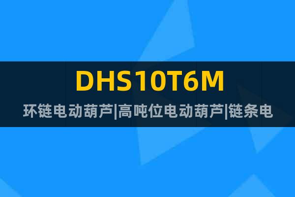 DHS10T6M环链电动葫芦|高吨位电动葫芦|链条电动葫芦