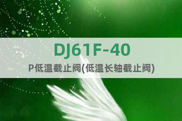DJ61F-40P低温截止阀(低温长轴截止阀)