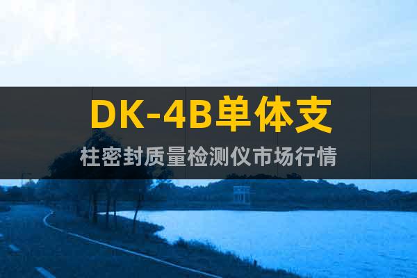 DK-4B单体支柱密封质量检测仪市场行情