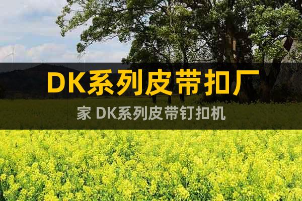 DK系列皮带扣厂家 DK系列皮带钉扣机