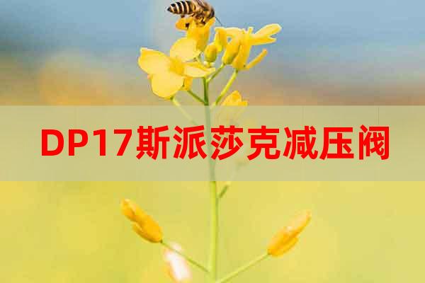 DP17斯派莎克減壓閥