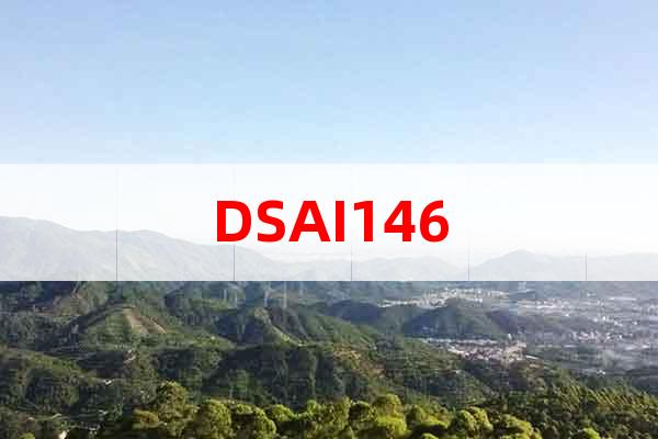 DSAI146