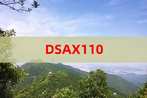 DSAX110