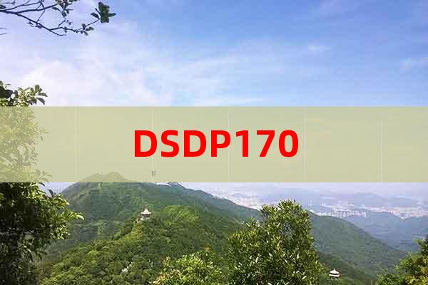 DSDP170