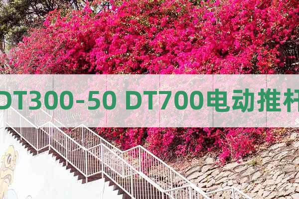 DT300-50 DT700電動推桿