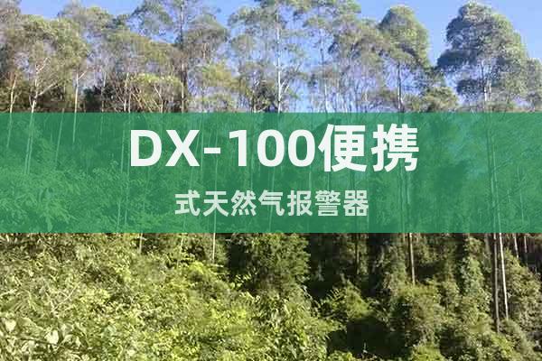 DX-100便攜式天然氣報警器