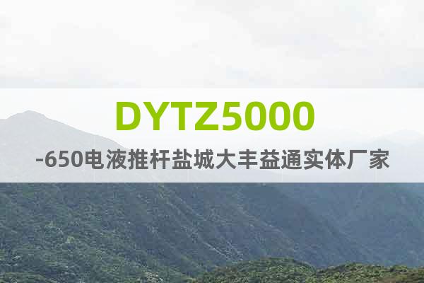 DYTZ5000-650电液推杆盐城大丰益通实体厂家