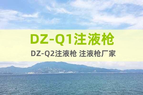 DZ-Q1注液槍  DZ-Q2注液槍 注液槍廠家