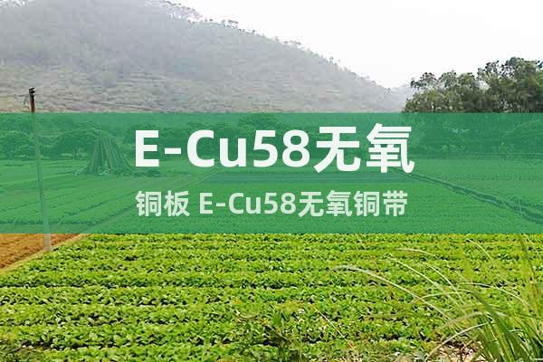 E-Cu58無氧銅板 E-Cu58無氧銅帶