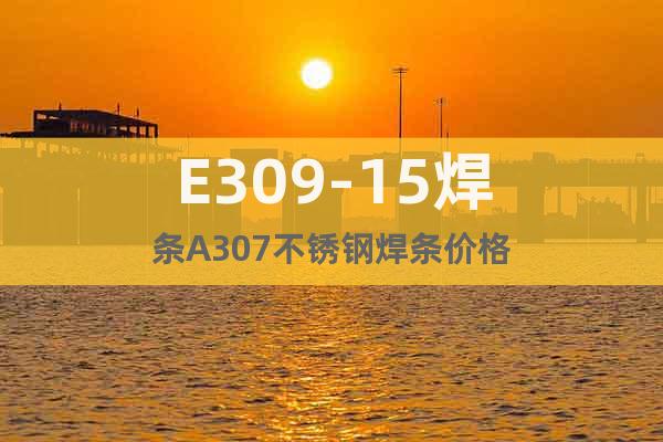 E309-15焊条A307不锈钢焊条价格