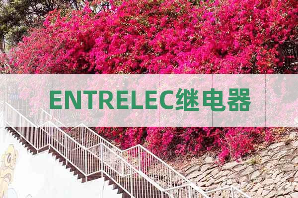 ENTRELEC繼電器