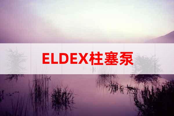ELDEX柱塞泵
