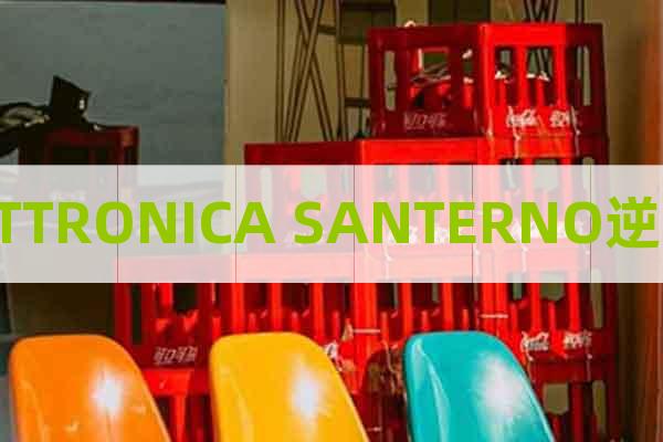 ELETTRONICA SANTERNO逆變器
