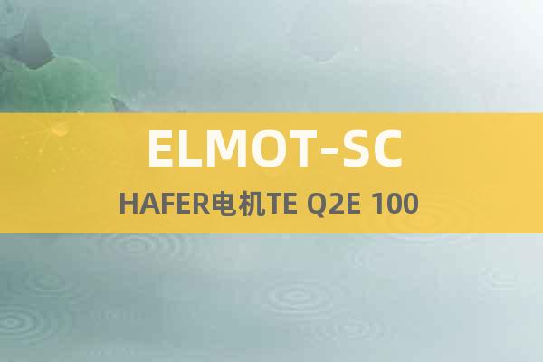 ELMOT-SCHAFER電機(jī)TE Q2E 100 L4C