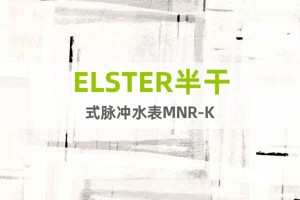 ELSTER半干式脉冲水表MNR-K