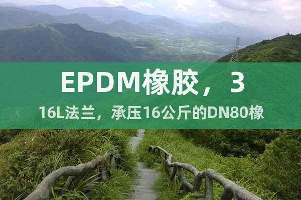 EPDM橡胶，316L法兰，承压16公斤的DN80橡胶接头