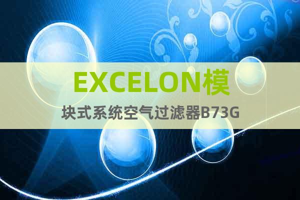 EXCELON模塊式系統(tǒng)空氣過濾器B73G