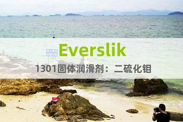 Everslik 1301固體潤滑劑：二硫化鉬