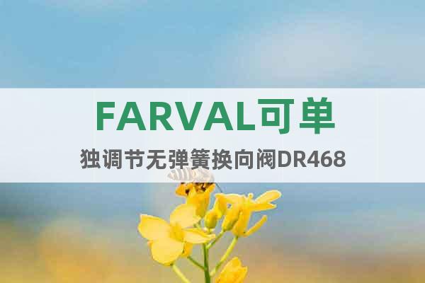 FARVAL可单独调节无弹簧换向阀DR468