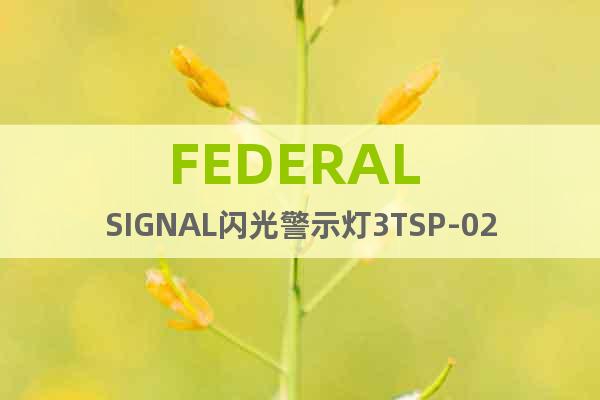 FEDERAL SIGNAL闪光警示灯3TSP-02