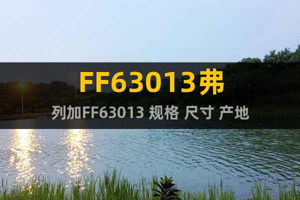 FF63013弗列加FF63013 规格 尺寸 产地