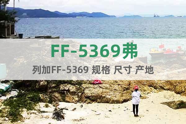 FF-5369弗列加FF-5369 规格 尺寸 产地