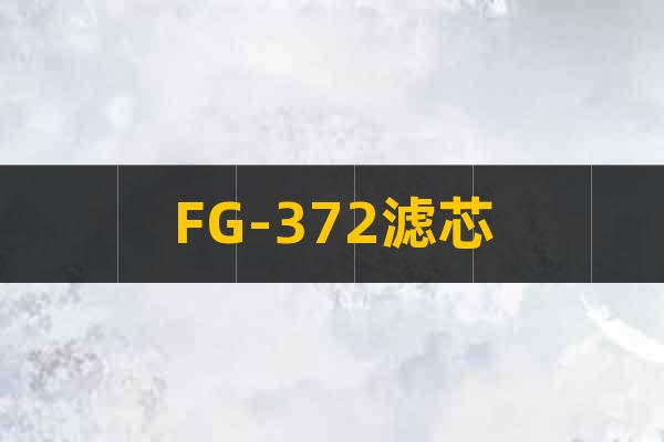 FG-372濾芯
